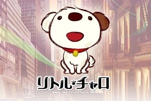 リトル チャロという子犬をご存知でしょうか イングリッシュtv